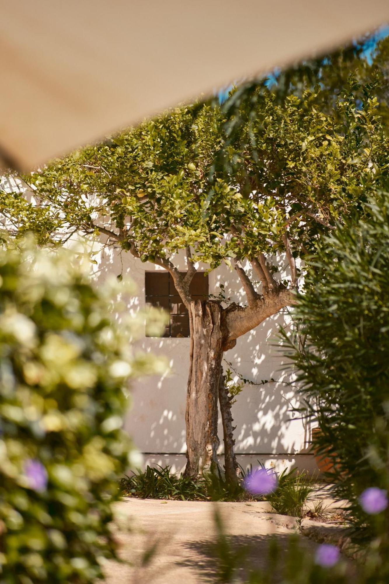 The Guardian House Hotel Santa Gertrudis  Ngoại thất bức ảnh